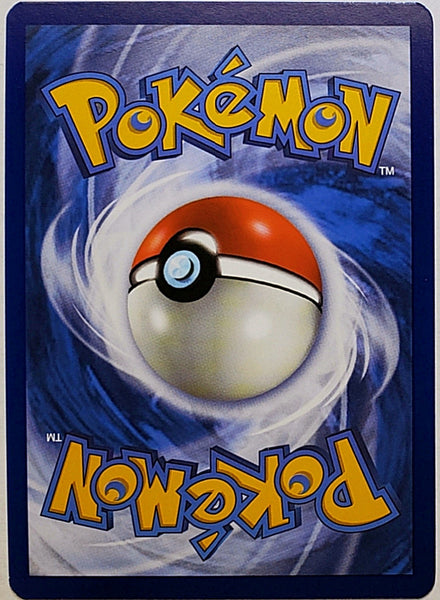 Pokemon Detective Pikachu Holo Rare SM190 Sun Moon Black Star Promo –  CardboardandCoins.com