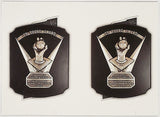 Ohtani, Shohei, Sticker Card, Sticker, Card, Reverse, Cy Young Trophies, 2019, Topps, MLB, Sticker, 196, 86, Rookie Of The Year, ROY, MVP, Pitcher, 2-Way, Japan, Japanese, Los Angeles, Angels, Anaheim,  Dodgers, World Series, WBC, Strikeouts, Home Runs, Slugger, RC, Baseball, MLB, Baseball Cards